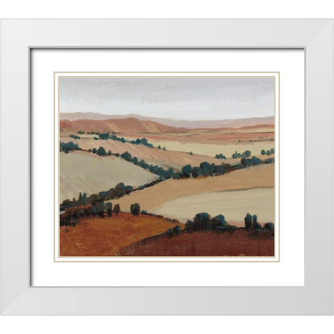 Soaring View II White Modern Wood Framed Art Print with Double Matting by OToole, Tim