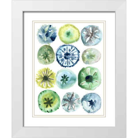 Sea Urchin Assortment II White Modern Wood Framed Art Print with Double Matting by Vess, June Erica