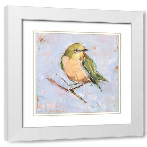 Bird Variety II White Modern Wood Framed Art Print with Double Matting by Harper, Ethan