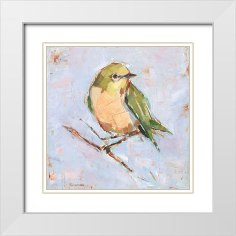 Bird Variety II White Modern Wood Framed Art Print with Double Matting by Harper, Ethan