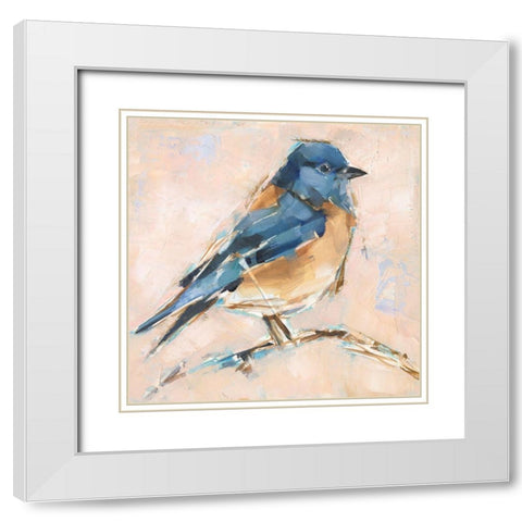 Bird Variety III White Modern Wood Framed Art Print with Double Matting by Harper, Ethan