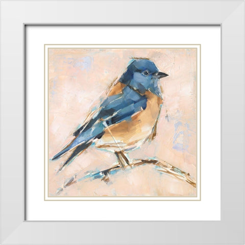 Bird Variety III White Modern Wood Framed Art Print with Double Matting by Harper, Ethan