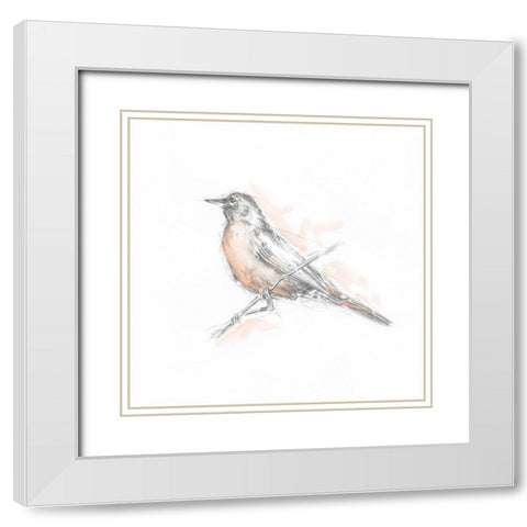 Robin Bird Sketch II White Modern Wood Framed Art Print with Double Matting by Harper, Ethan
