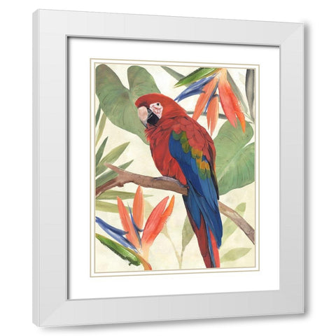 Tropical Parrot Composition II White Modern Wood Framed Art Print with Double Matting by Warren, Annie