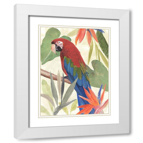 Tropical Parrot Composition III White Modern Wood Framed Art Print with Double Matting by Warren, Annie