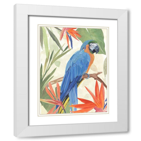 Tropical Parrot Composition IV White Modern Wood Framed Art Print with Double Matting by Warren, Annie