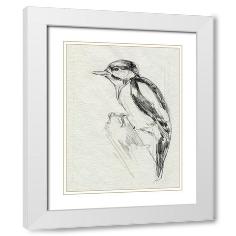 Woodpecker Sketch I White Modern Wood Framed Art Print with Double Matting by Parker, Jennifer Paxton