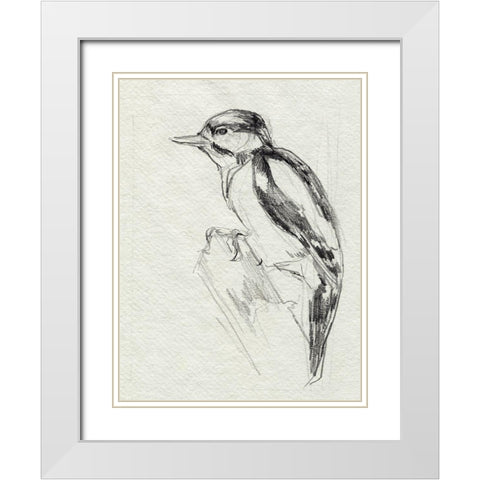 Woodpecker Sketch I White Modern Wood Framed Art Print with Double Matting by Parker, Jennifer Paxton