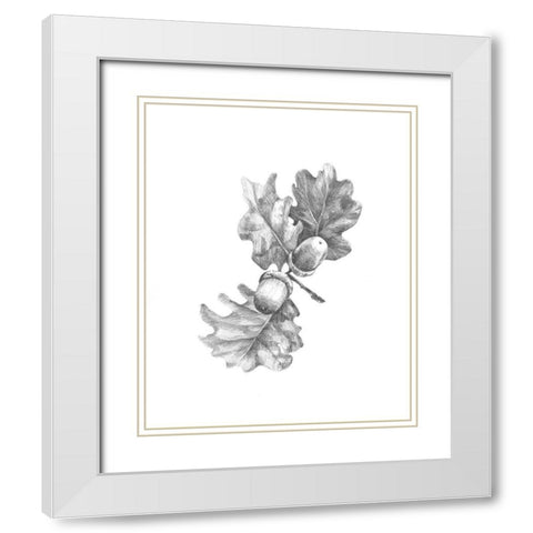 Oak Leaf Pencil Sketch II White Modern Wood Framed Art Print with Double Matting by Caroline, Emma