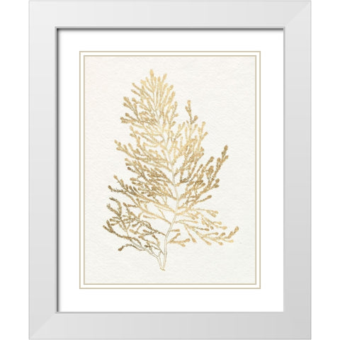 Gilded Algae IV White Modern Wood Framed Art Print with Double Matting by Goldberger, Jennifer