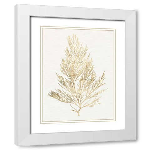 Gilded Algae V White Modern Wood Framed Art Print with Double Matting by Goldberger, Jennifer