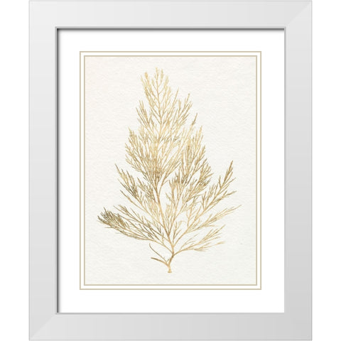 Gilded Algae V White Modern Wood Framed Art Print with Double Matting by Goldberger, Jennifer