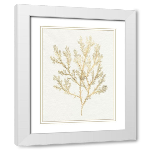 Gilded Algae VI White Modern Wood Framed Art Print with Double Matting by Goldberger, Jennifer