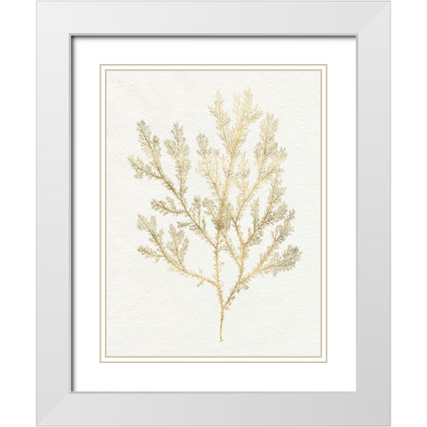 Gilded Algae VI White Modern Wood Framed Art Print with Double Matting by Goldberger, Jennifer