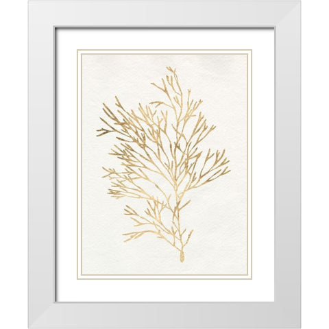 Gilded Algae VII White Modern Wood Framed Art Print with Double Matting by Goldberger, Jennifer