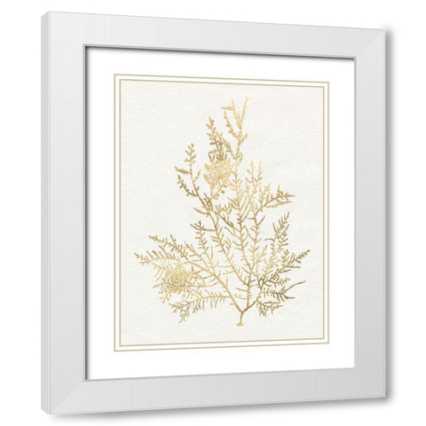 Gilded Algae VIII White Modern Wood Framed Art Print with Double Matting by Goldberger, Jennifer