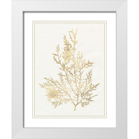 Gilded Algae VIII White Modern Wood Framed Art Print with Double Matting by Goldberger, Jennifer