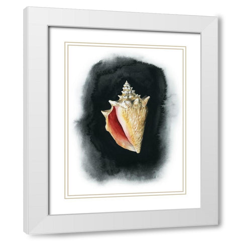 Conch on Black I White Modern Wood Framed Art Print with Double Matting by Popp, Grace