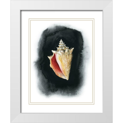 Conch on Black I White Modern Wood Framed Art Print with Double Matting by Popp, Grace