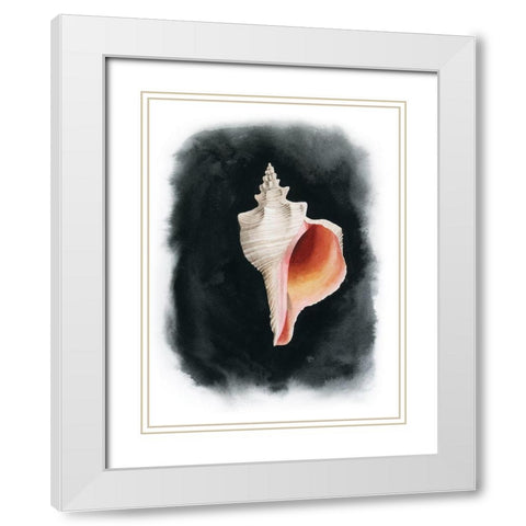 Conch on Black II White Modern Wood Framed Art Print with Double Matting by Popp, Grace