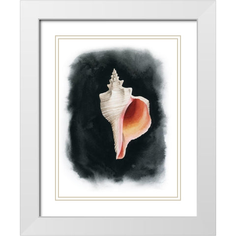 Conch on Black II White Modern Wood Framed Art Print with Double Matting by Popp, Grace