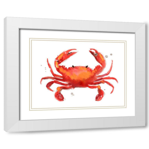 Crab Cameo I White Modern Wood Framed Art Print with Double Matting by Vess, June Erica