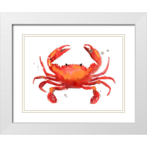 Crab Cameo I White Modern Wood Framed Art Print with Double Matting by Vess, June Erica