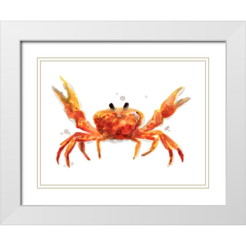 Crab Cameo II White Modern Wood Framed Art Print with Double Matting by Vess, June Erica