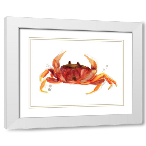 Crab Cameo III White Modern Wood Framed Art Print with Double Matting by Vess, June Erica