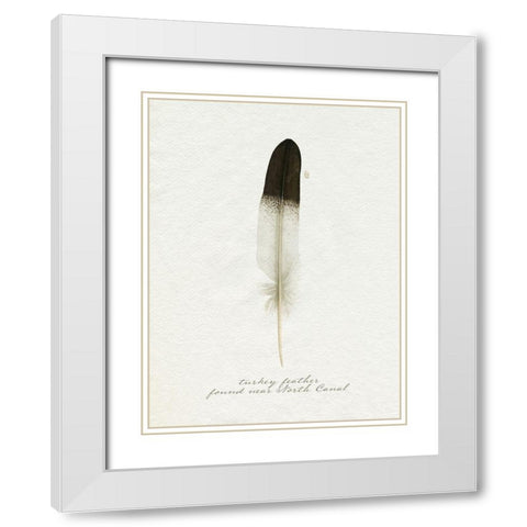 Found Feather IV White Modern Wood Framed Art Print with Double Matting by Popp, Grace