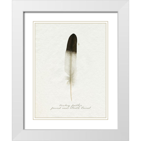 Found Feather IV White Modern Wood Framed Art Print with Double Matting by Popp, Grace