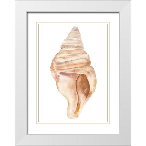 Seashell II White Modern Wood Framed Art Print with Double Matting by Warren, Annie