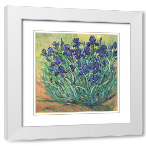 Irises in Bloom I White Modern Wood Framed Art Print with Double Matting by OToole, Tim