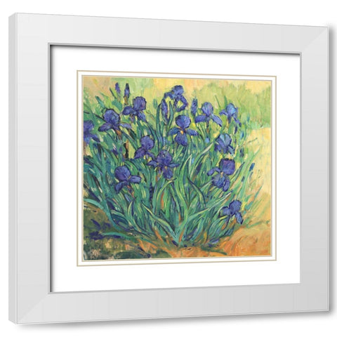 Irises in Bloom II White Modern Wood Framed Art Print with Double Matting by OToole, Tim