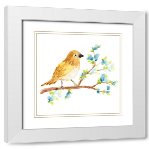Springtime Songbirds III White Modern Wood Framed Art Print with Double Matting by Vess, June Erica