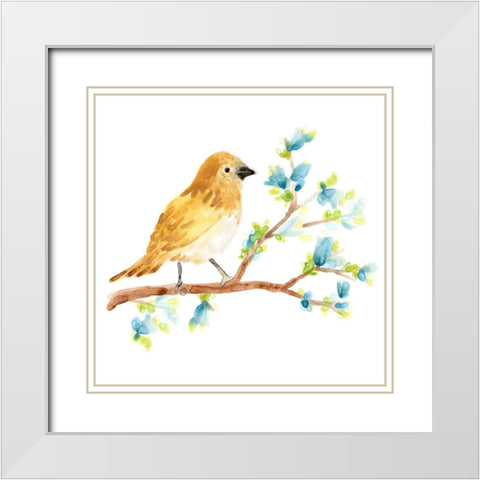 Springtime Songbirds III White Modern Wood Framed Art Print with Double Matting by Vess, June Erica