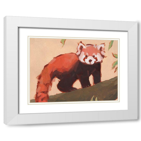 Red Panda I White Modern Wood Framed Art Print with Double Matting by Green, Jacob