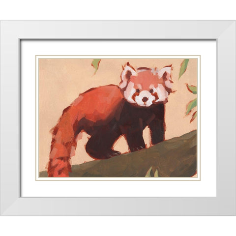 Red Panda I White Modern Wood Framed Art Print with Double Matting by Green, Jacob