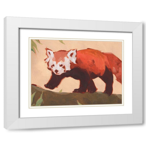Red Panda II White Modern Wood Framed Art Print with Double Matting by Green, Jacob