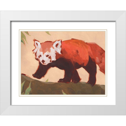 Red Panda II White Modern Wood Framed Art Print with Double Matting by Green, Jacob