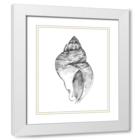 Quiet Conch I White Modern Wood Framed Art Print with Double Matting by Caroline, Emma