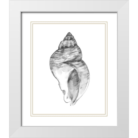 Quiet Conch I White Modern Wood Framed Art Print with Double Matting by Caroline, Emma