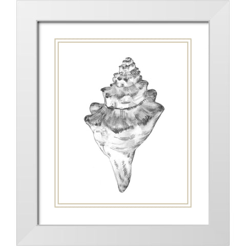 Quiet Conch III White Modern Wood Framed Art Print with Double Matting by Caroline, Emma