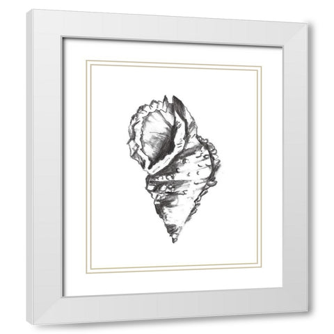 Seashell Study I White Modern Wood Framed Art Print with Double Matting by Wang, Melissa