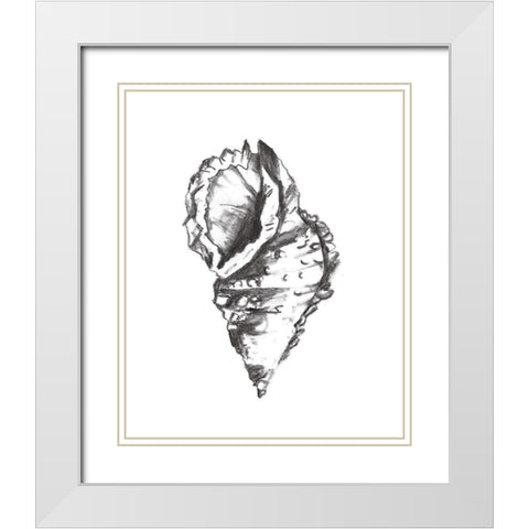 Seashell Study I White Modern Wood Framed Art Print with Double Matting by Wang, Melissa