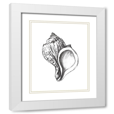 Seashell Study II White Modern Wood Framed Art Print with Double Matting by Wang, Melissa