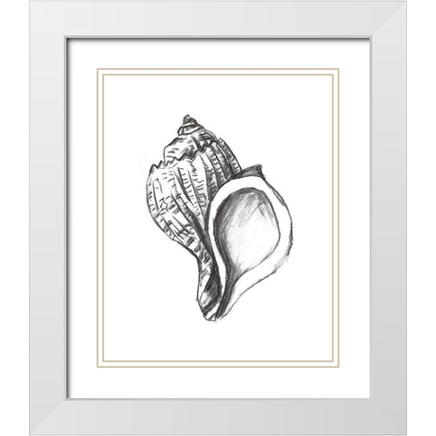 Seashell Study II White Modern Wood Framed Art Print with Double Matting by Wang, Melissa