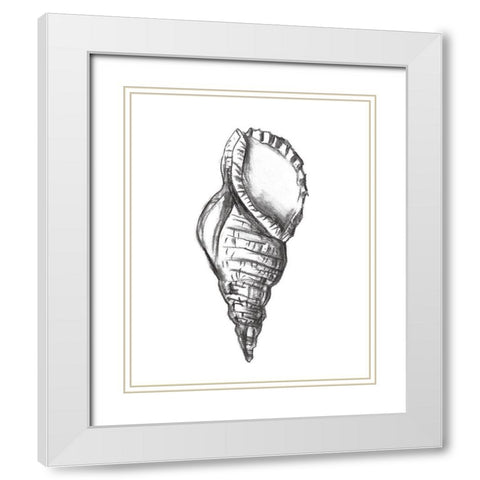 Seashell Study III White Modern Wood Framed Art Print with Double Matting by Wang, Melissa