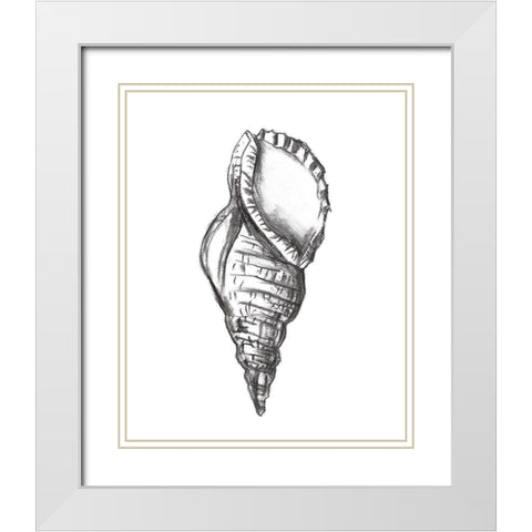 Seashell Study III White Modern Wood Framed Art Print with Double Matting by Wang, Melissa