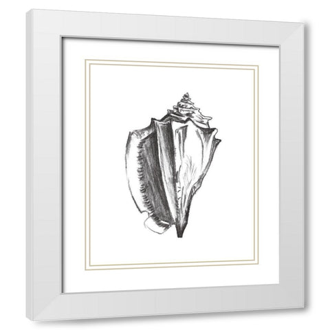 Seashell Study IV White Modern Wood Framed Art Print with Double Matting by Wang, Melissa